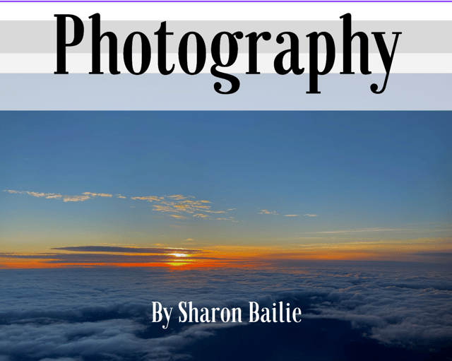 Sharon Bailie Photography