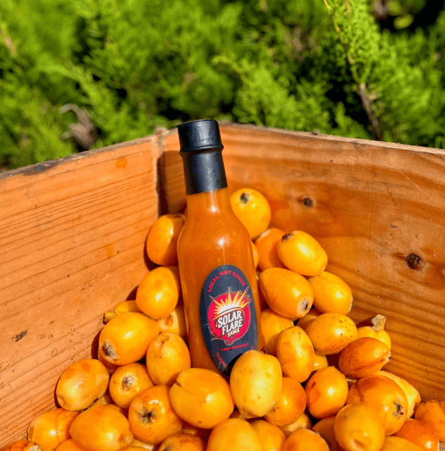 SolarFlare Sauce: Loquat-Ginger